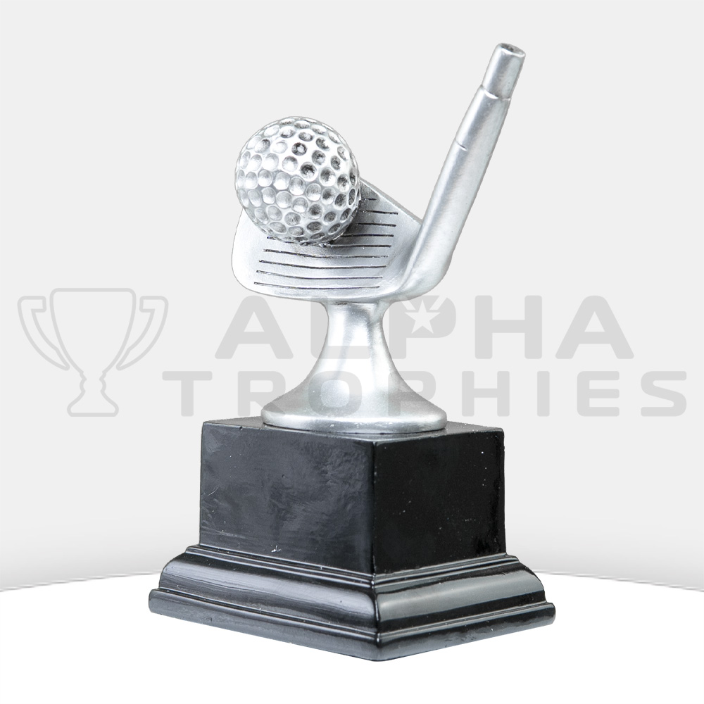 2-golf-silver-iron-side