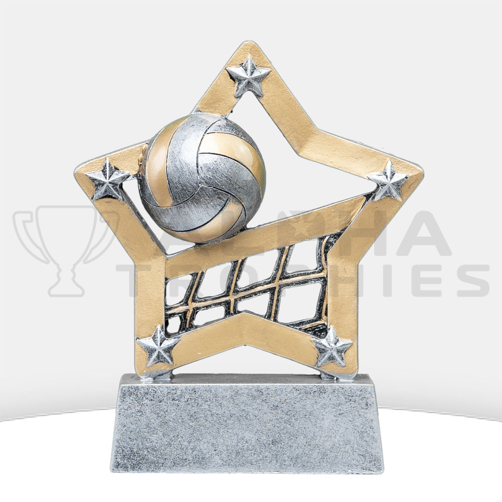 2-volleyball-mini-star-front