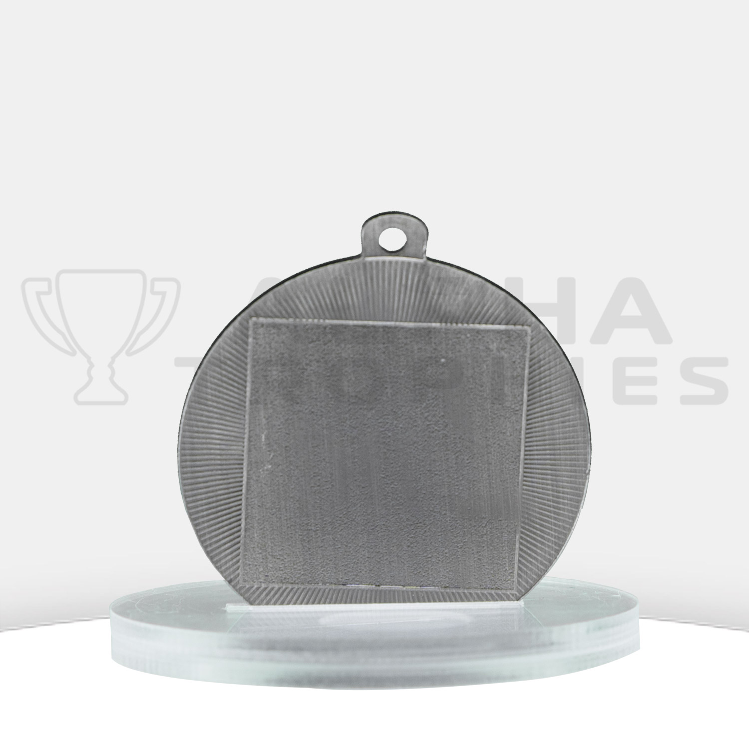 2nd-place-wayfare-medal-silver-back