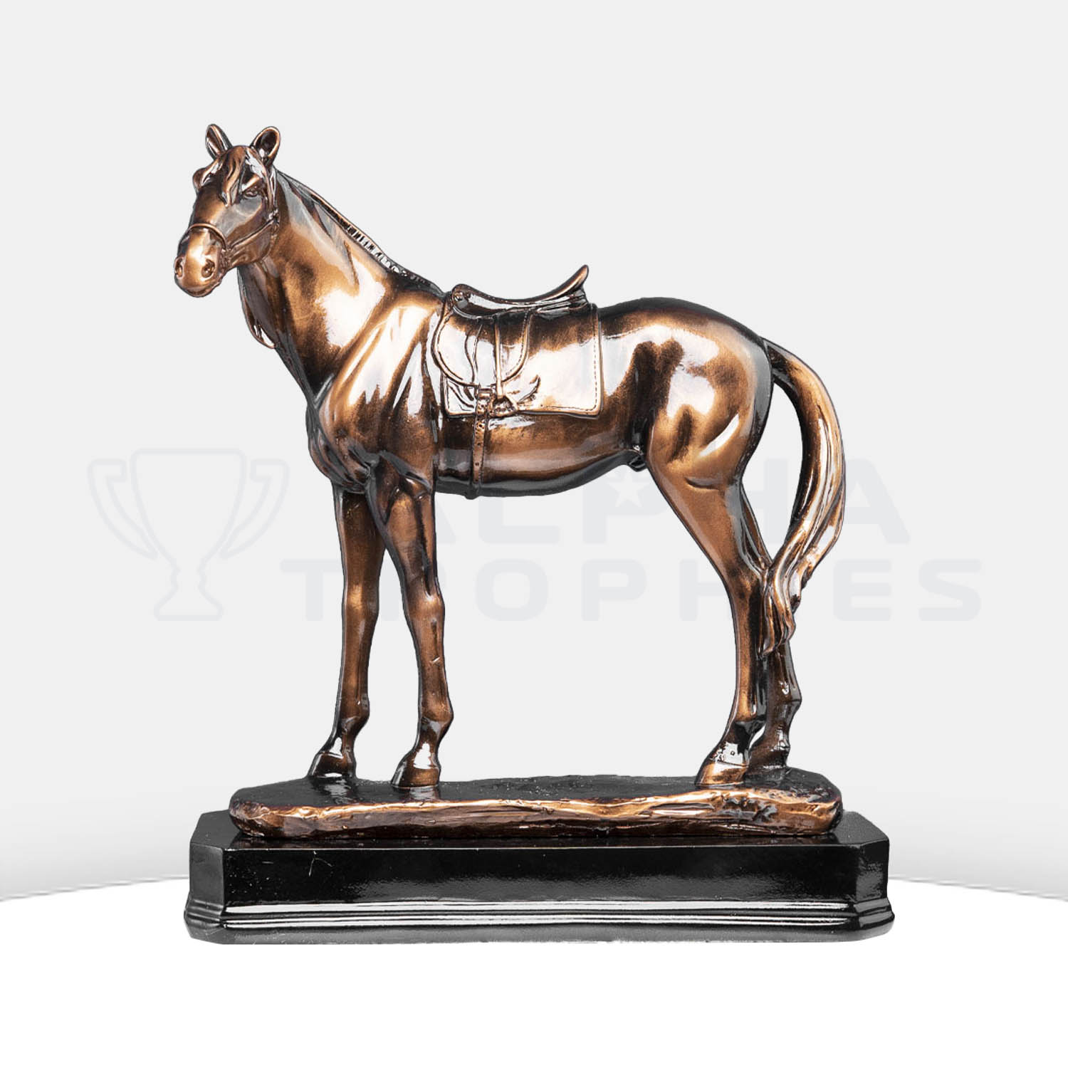 3-champion-bronze-front-5087