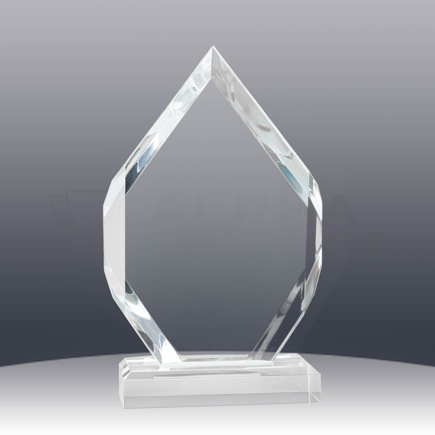 acrylic-arrow-award-back