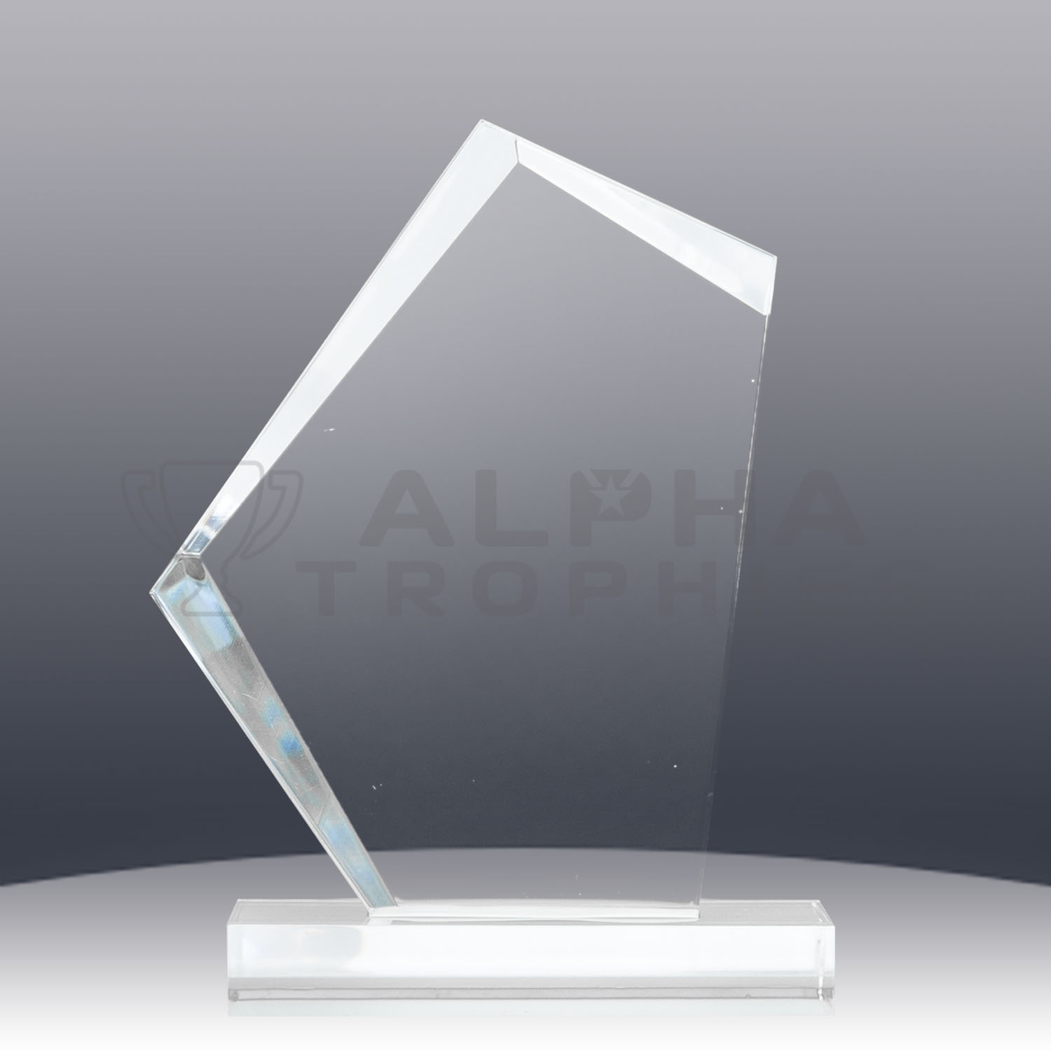 acrylic-award-summit-back