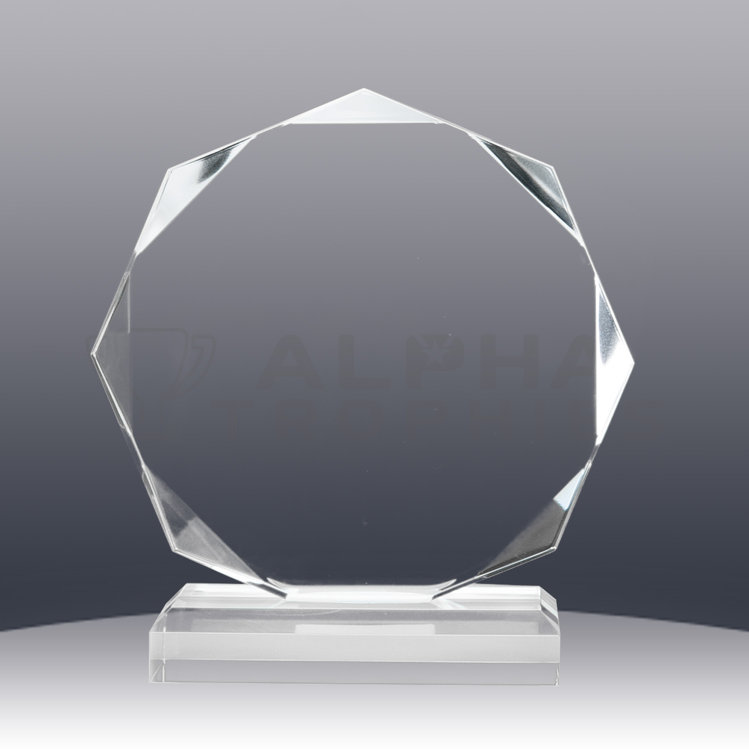 acrylic-octagon-award-back