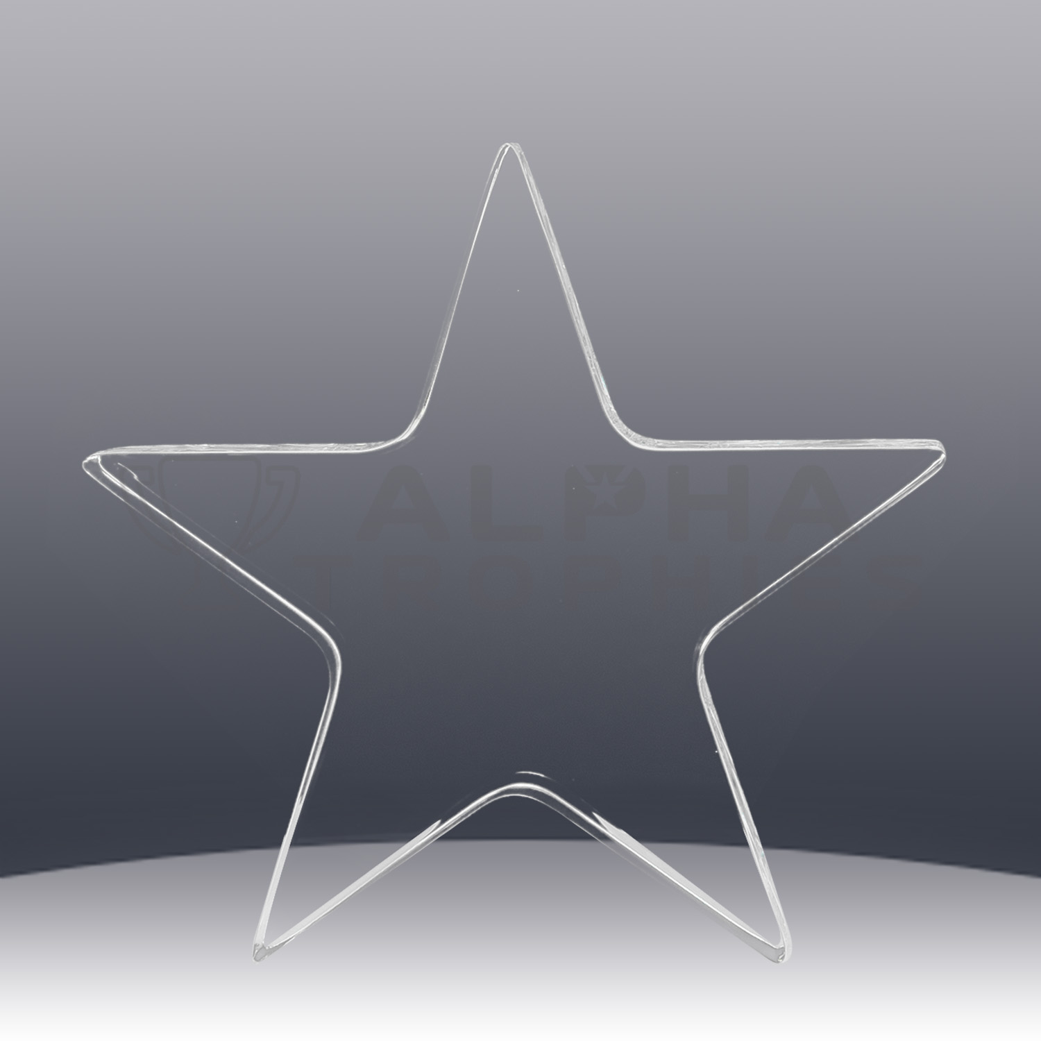 acrylic-star-award-back