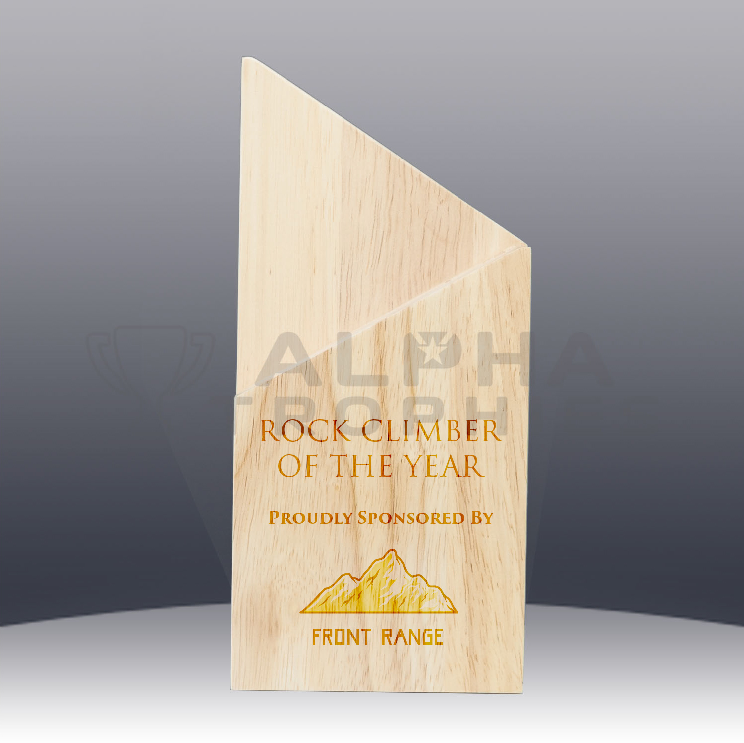 arrow-award-195mm-front-with-text