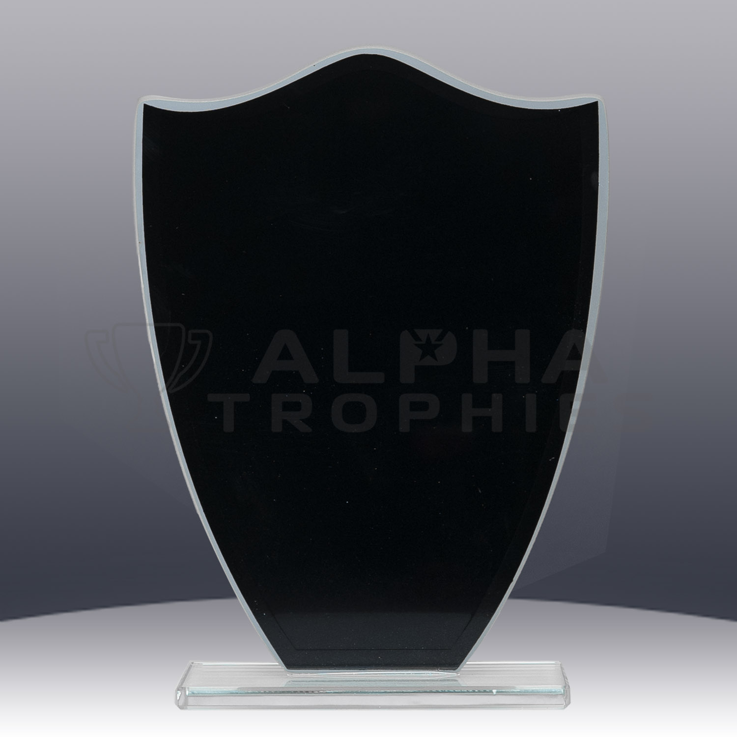 black-glass-shield-back