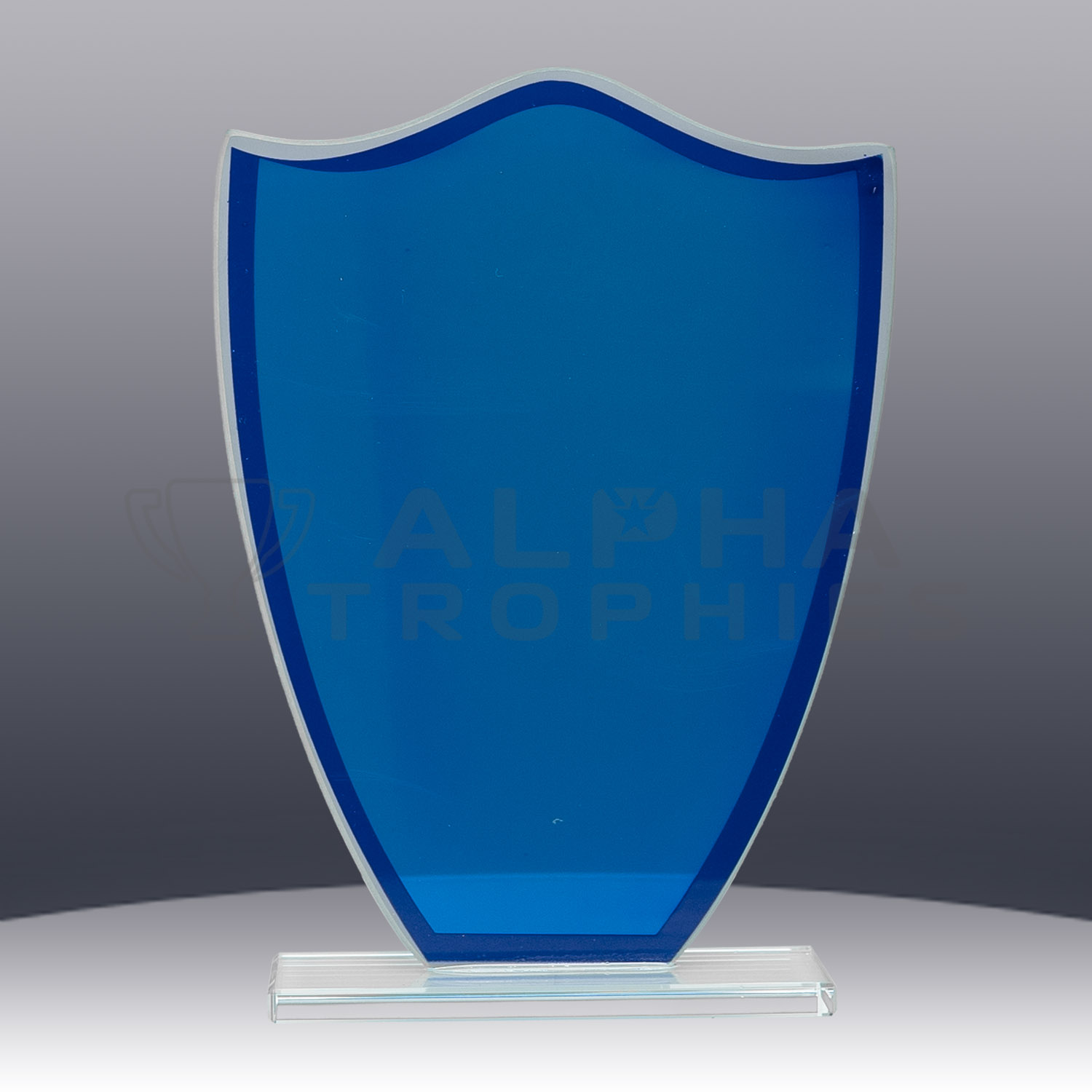 blue-glass-shield-back