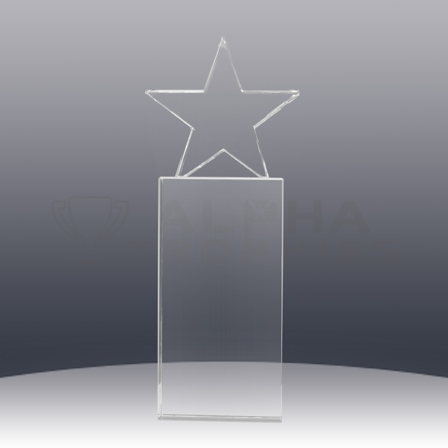 crystal-star-award-back