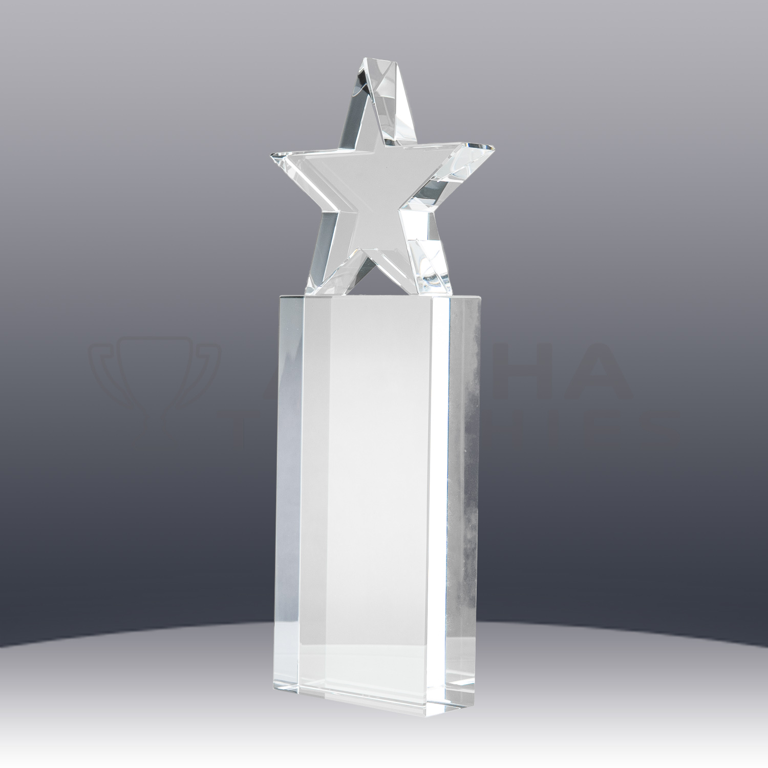 crystal-star-award-side