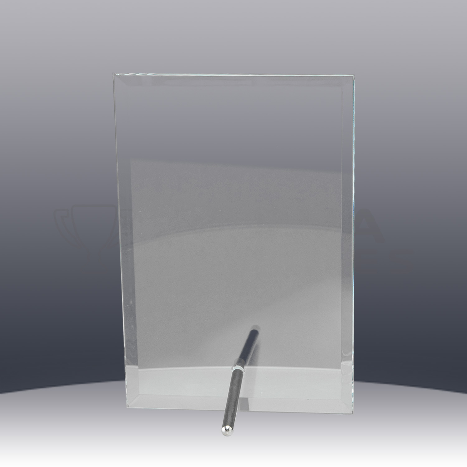 glass-budget-plaque-clear-back