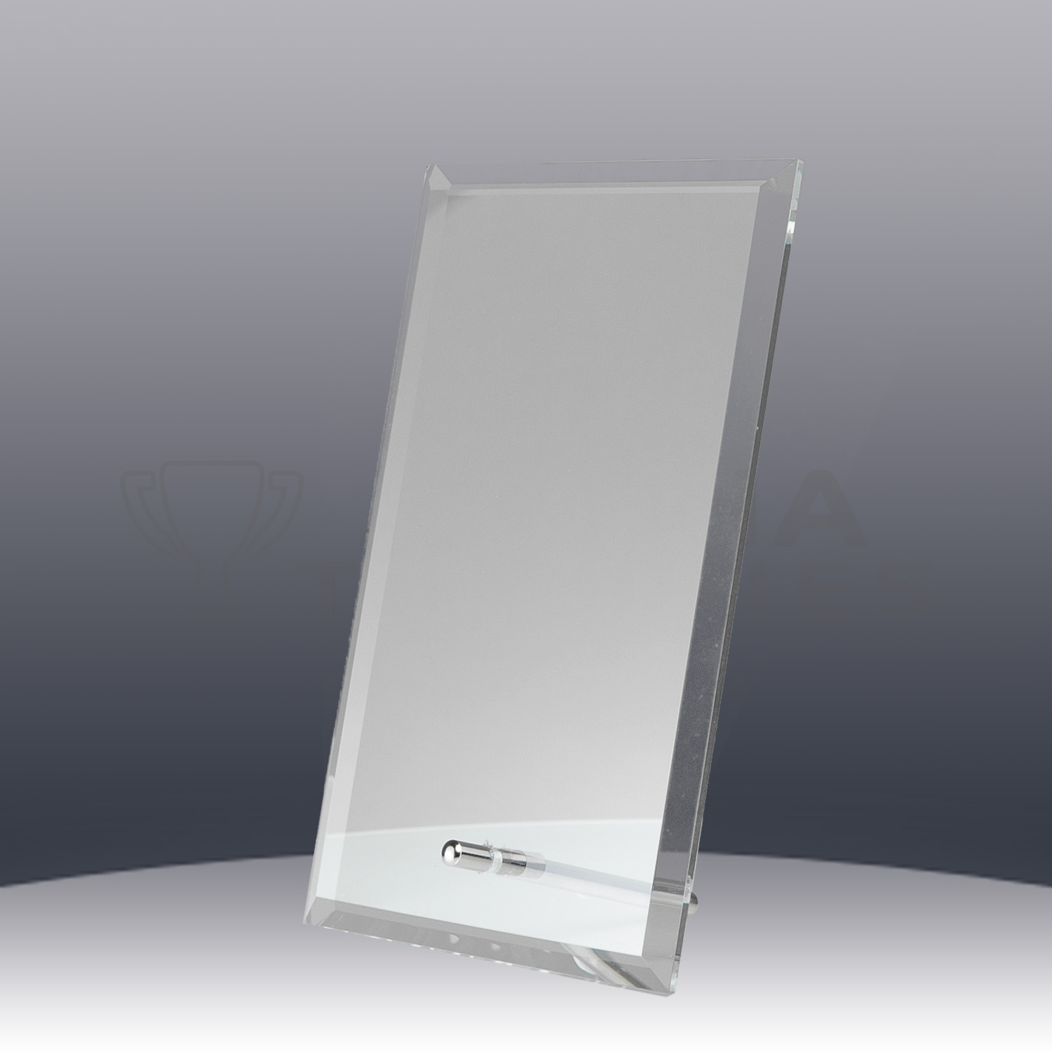 glass-budget-plaque-clear-side