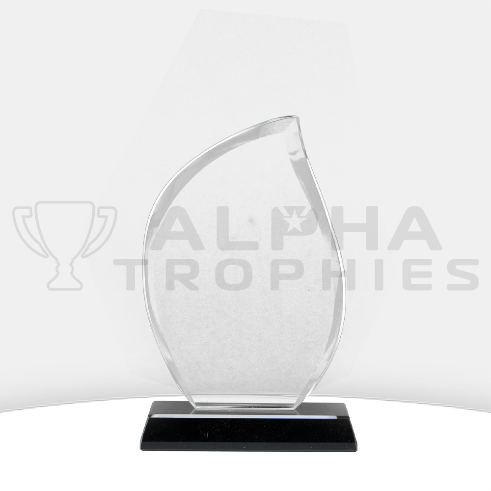 glass-cirrus-award-back