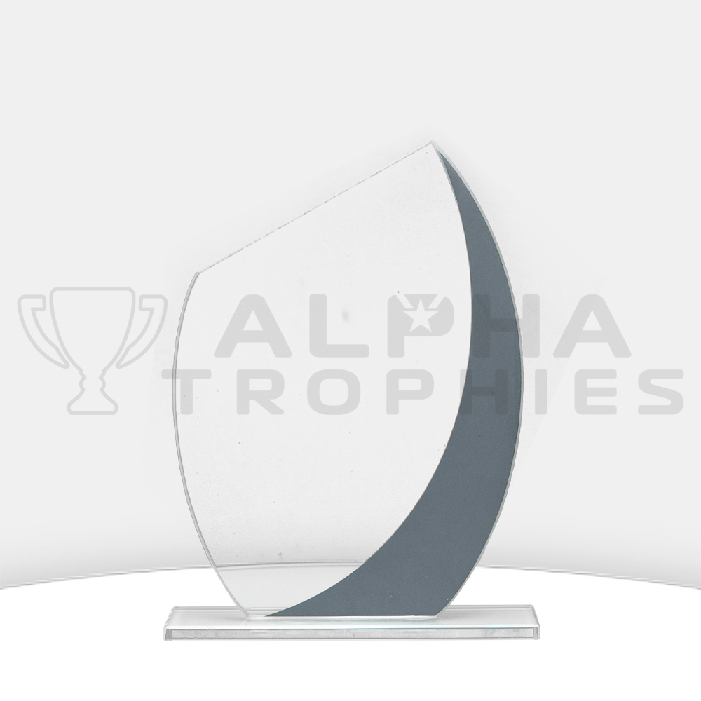 glass-pacific-award-back