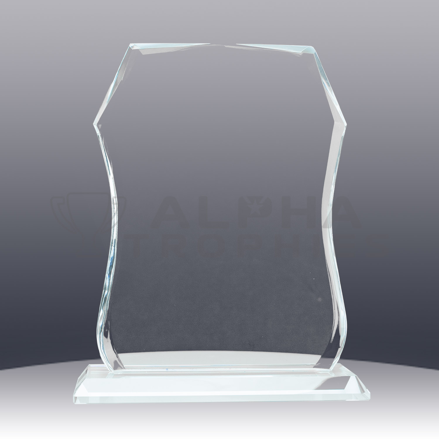 glass-sheild-1338-1-back