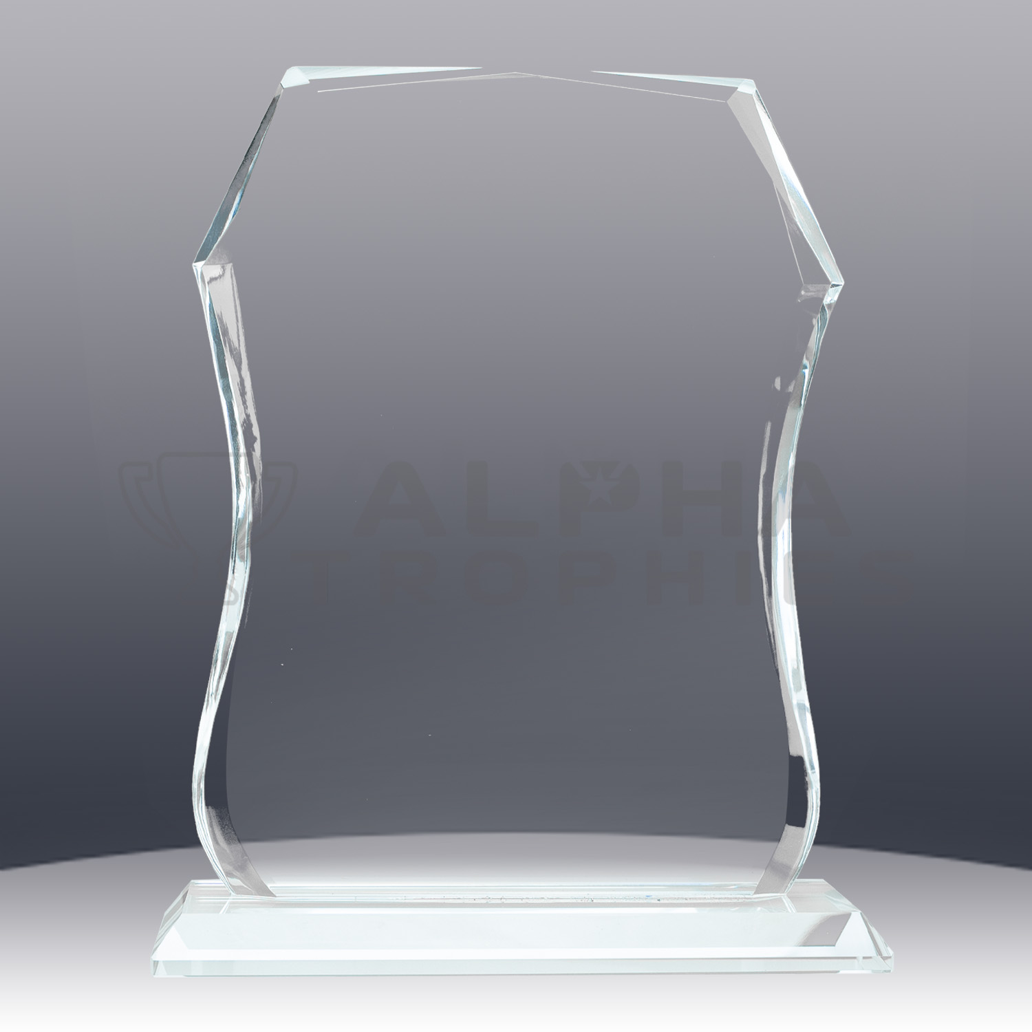 glass-sheild-1338-1-front