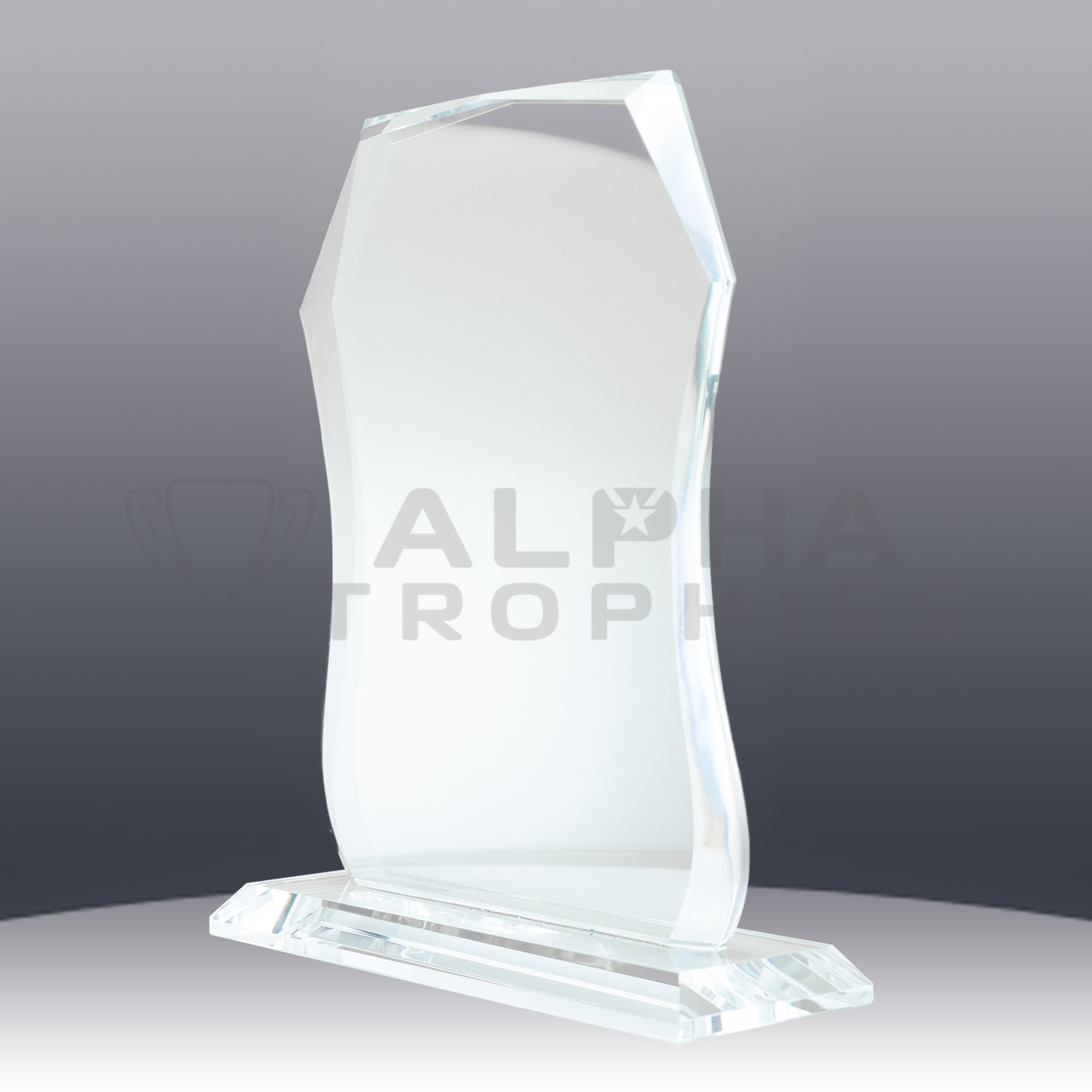 glass-sheild-1338-1-side