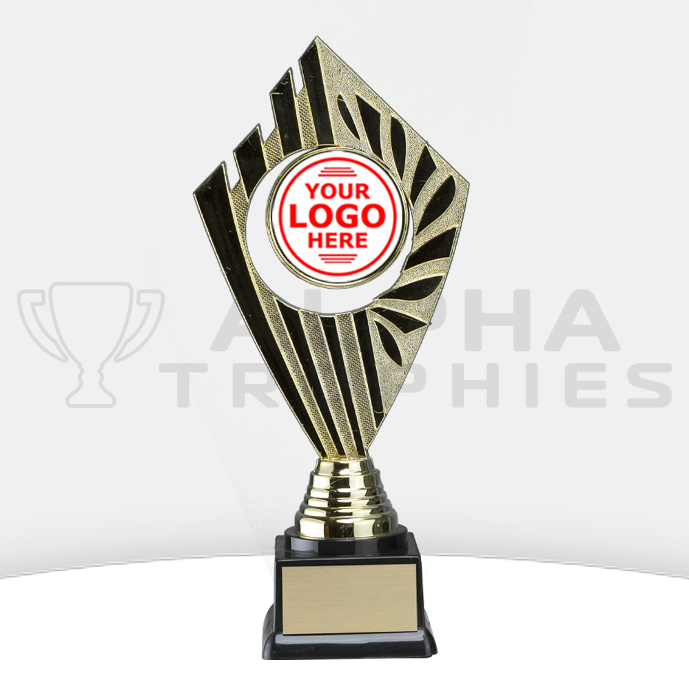 gold-flyer-series-250mm-front-with-logo