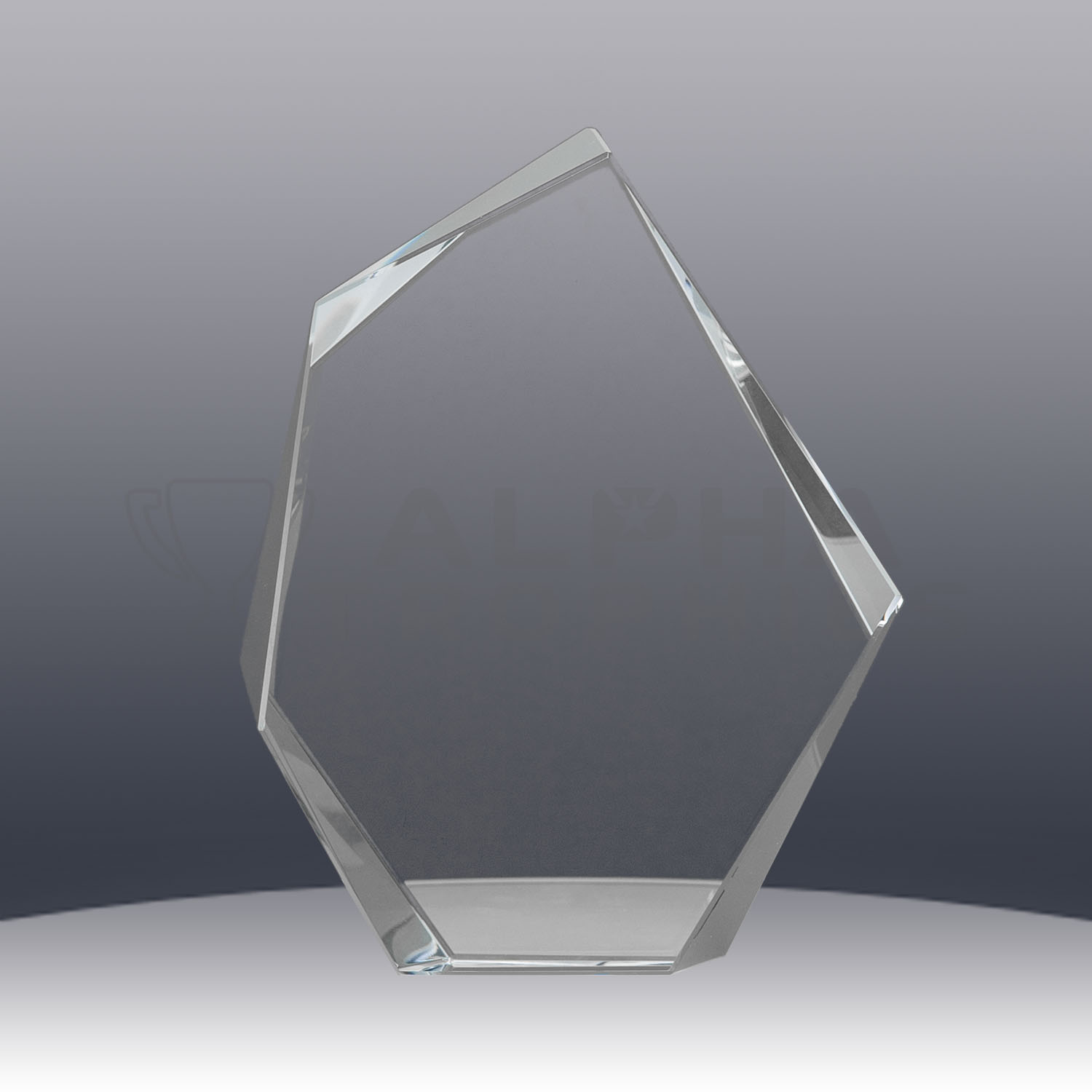 phoenix-crystal-mountain-award-back