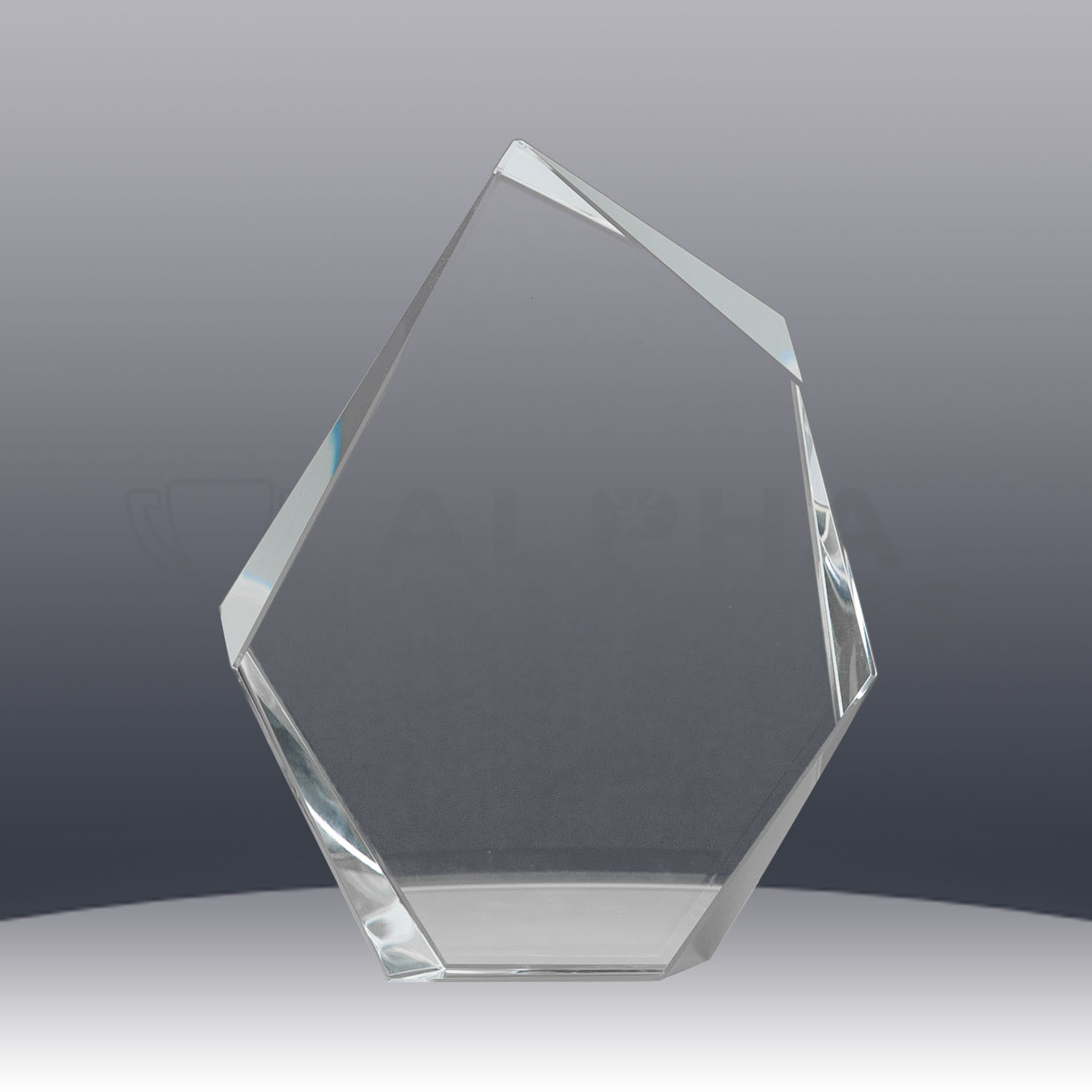 phoenix-crystal-mountain-award-front