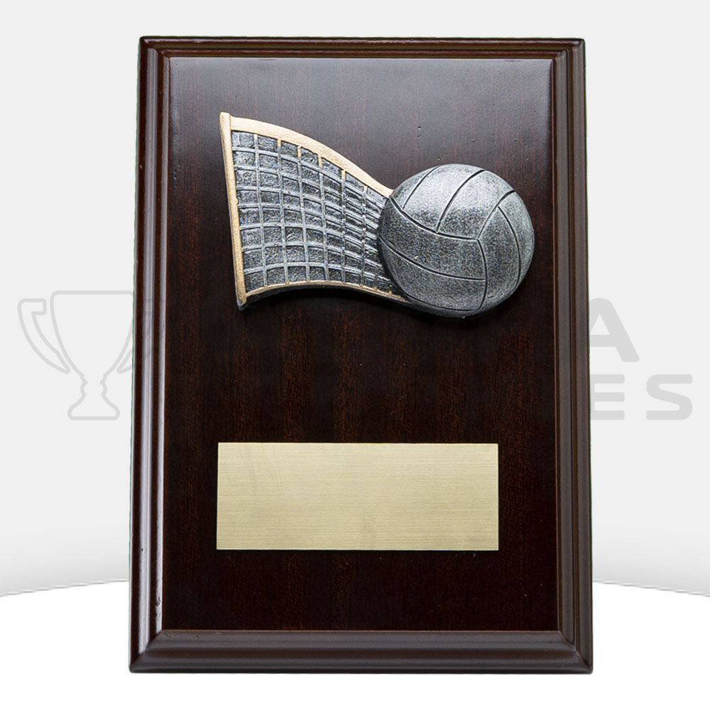 plaque-peak-volleyball-front