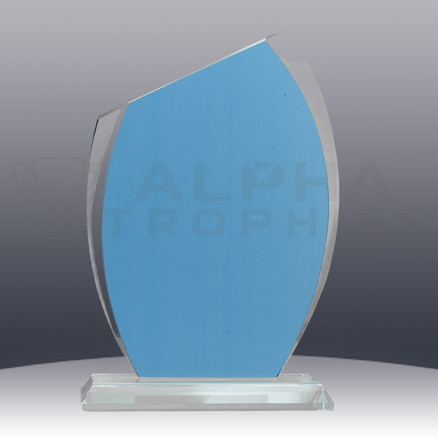 riposte-blue-crystal-award-cb215-back