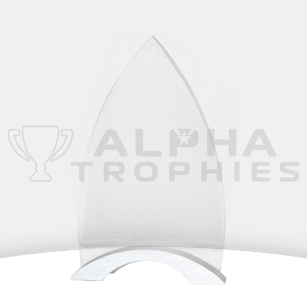 spear-award-chrome-back