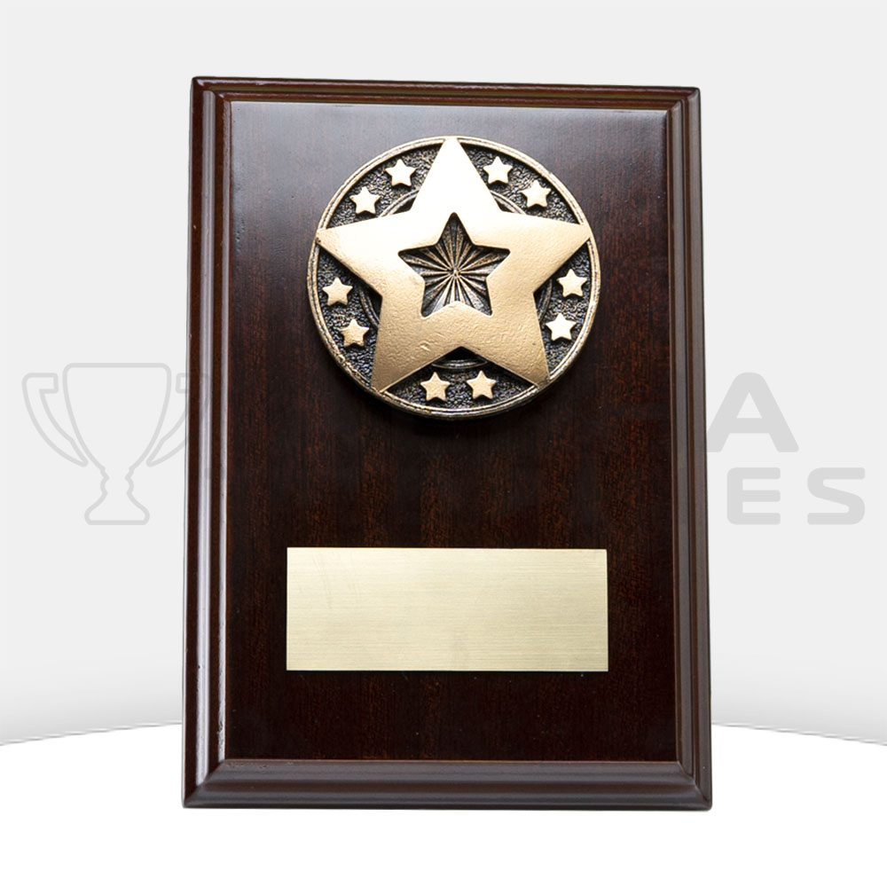 star-award-plaque-front