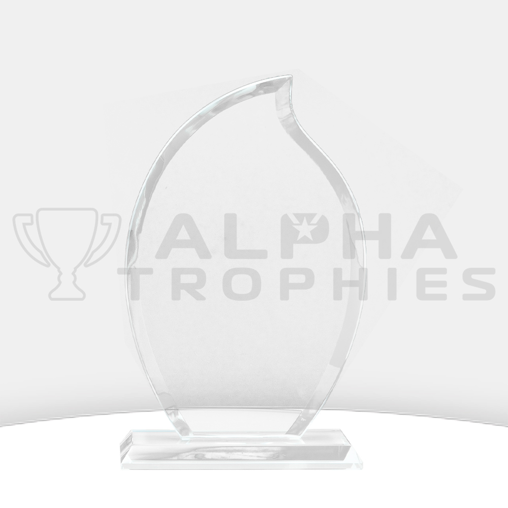 torch-award-glass-back