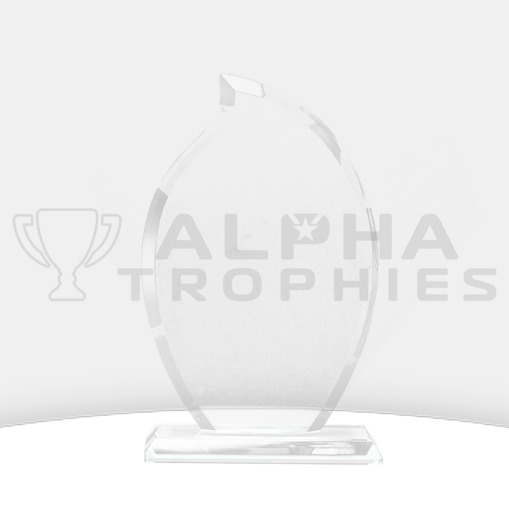 torch-award-glass-front